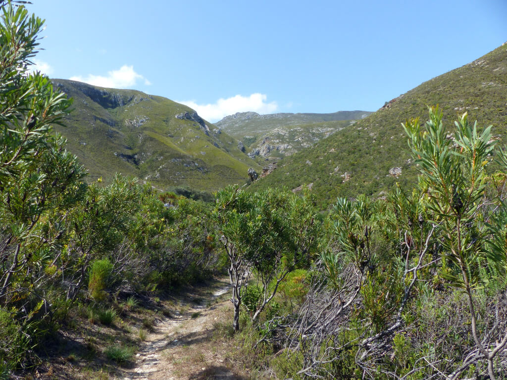 klipspringer trail