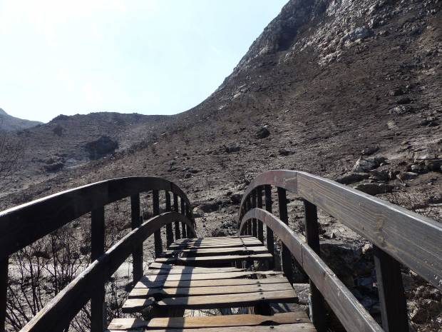 burnt bridge web