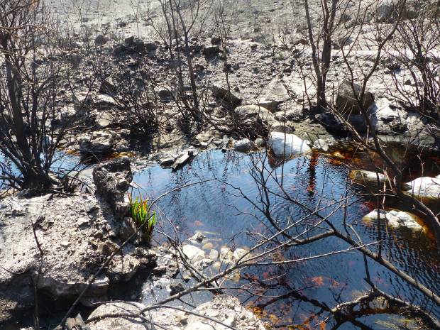 post fire stream web
