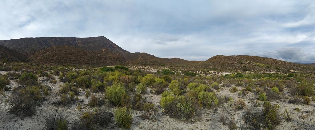 Iconic Quartz patches in the Barrydale district Klein Karoo