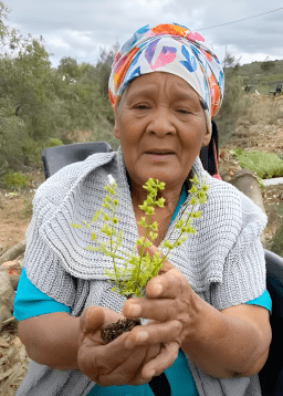 Bringing Land Back to Life: Sharing Restoration Stories