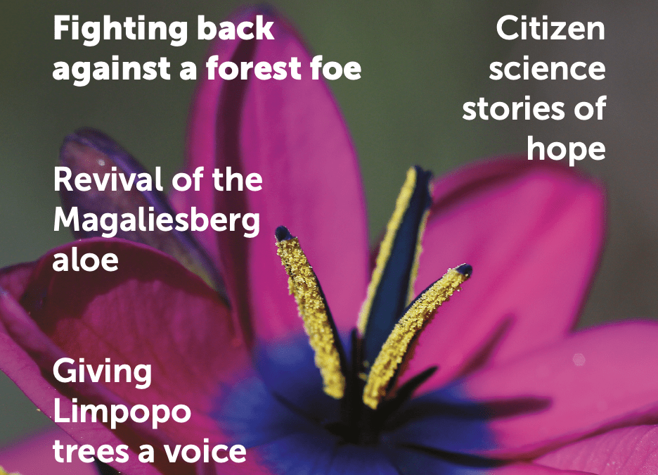 Protected: Veld And Flora June 2025