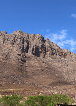 From ashes to action: The Cederberg recovers