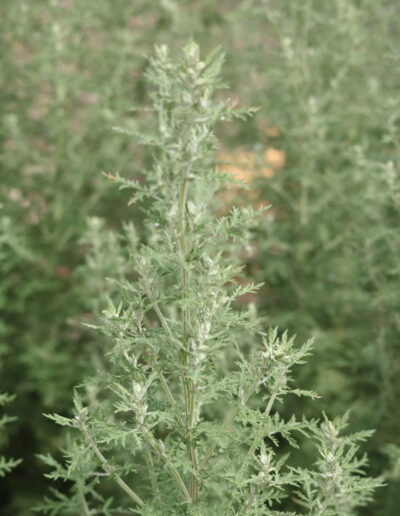 JPEGIMG 0901