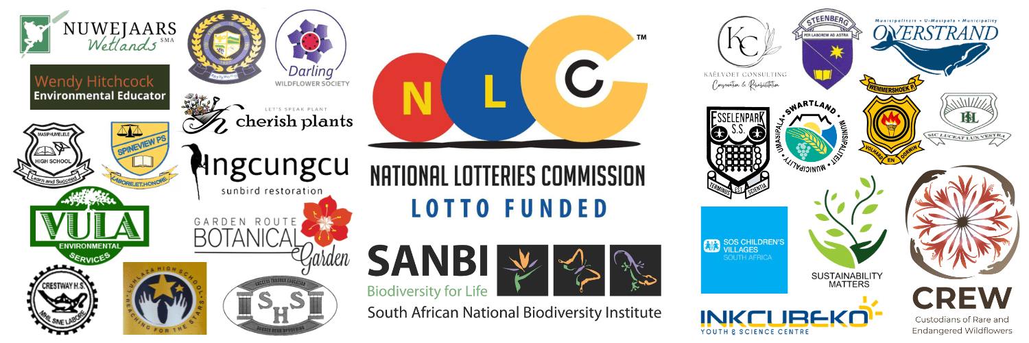 NLC partners