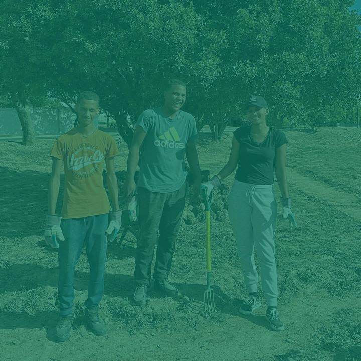 citizen science2
