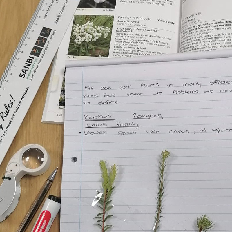plant ID2