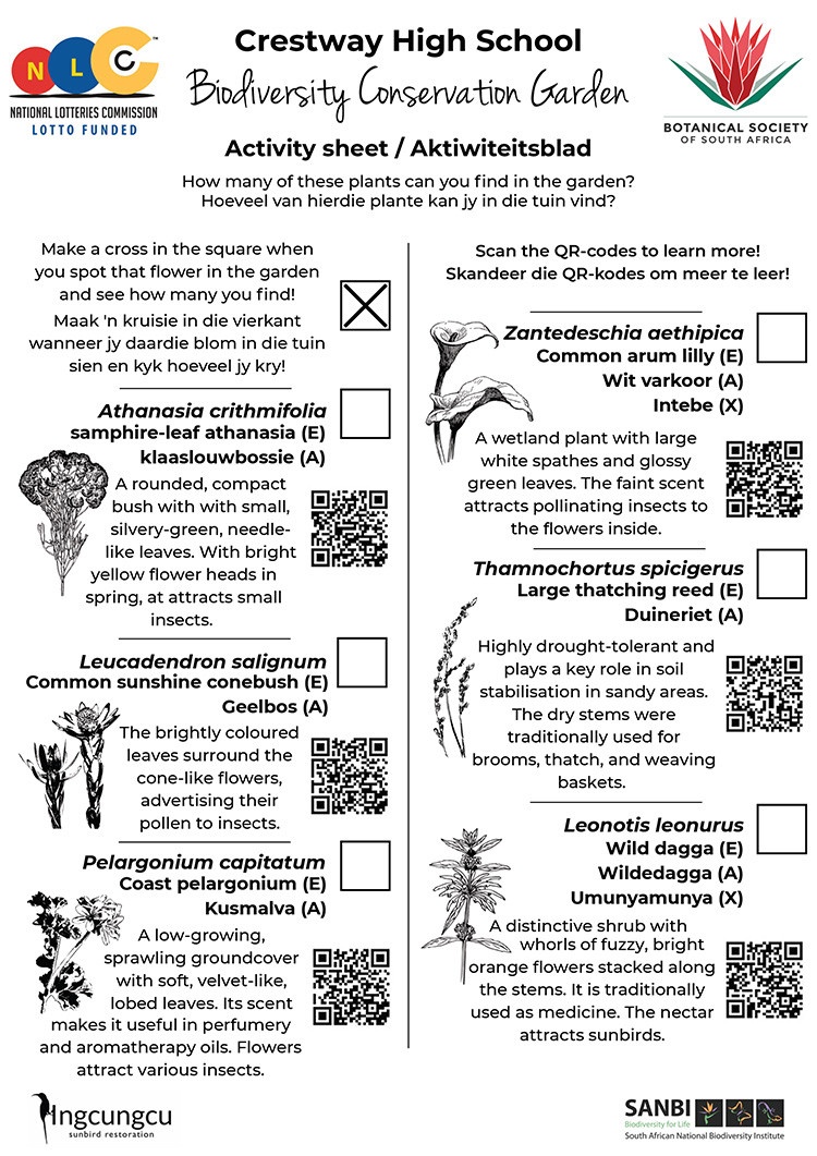 Chrestway-Activity-Sheet Chrestway Activity Sheet