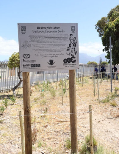 Sibelius High School Biodiversity Conservation Garden