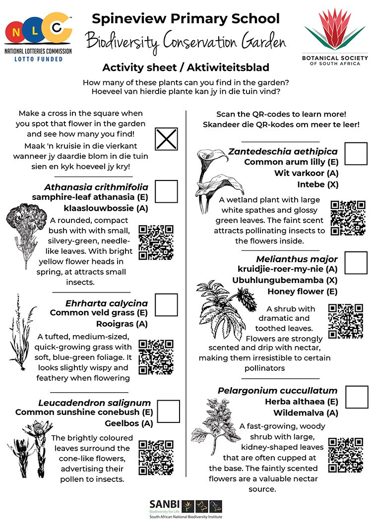 Spineview-Activity-Sheet Spineview Activity Sheet
