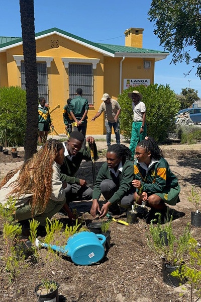 langa s