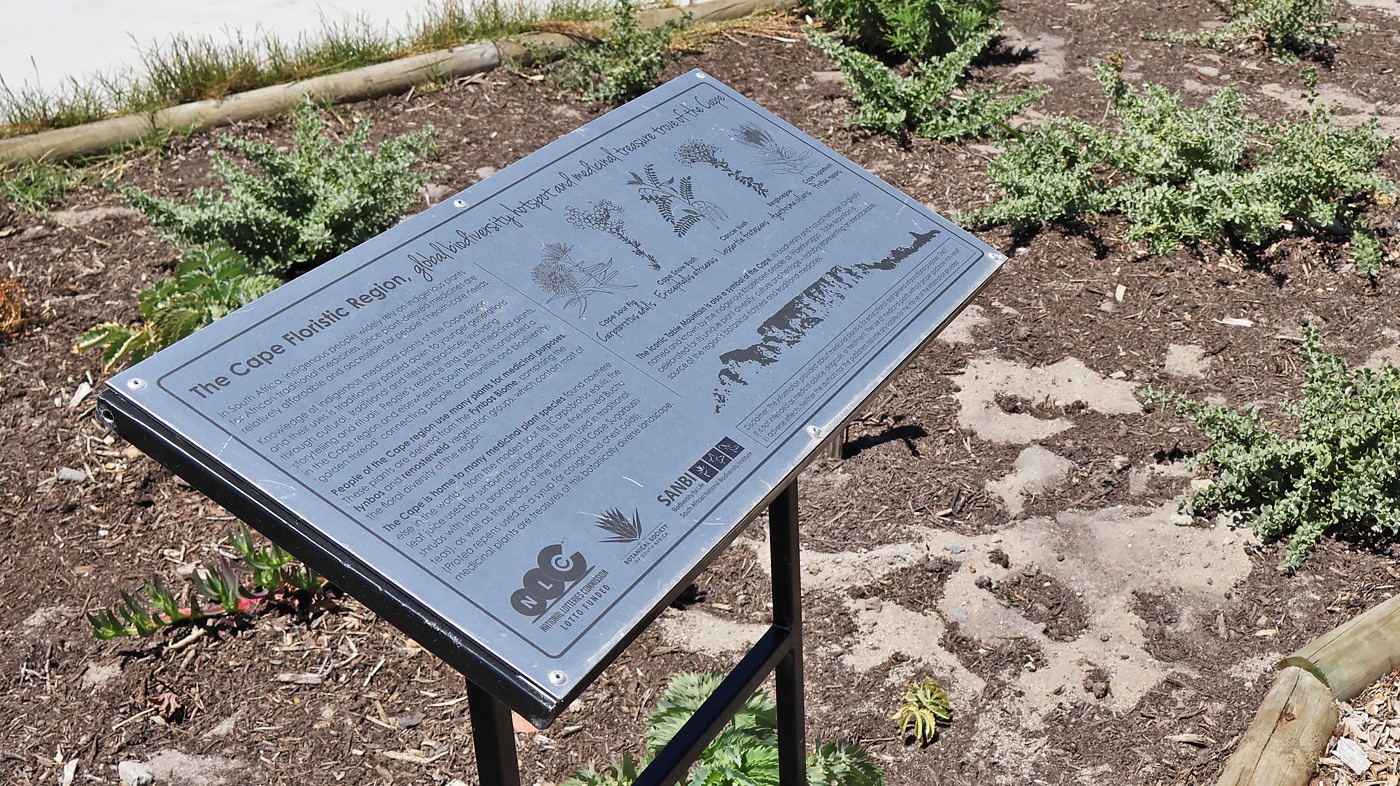 spineview sign
