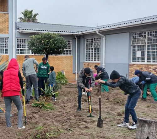 steenberg team