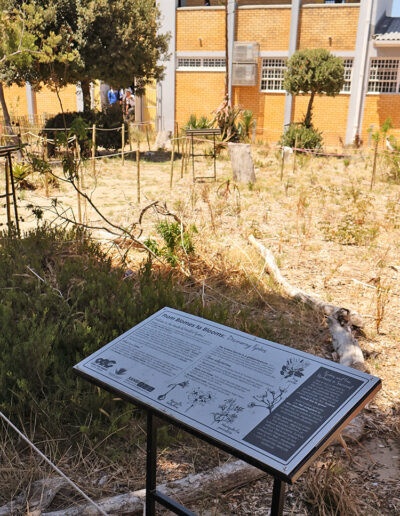 steenberg3
