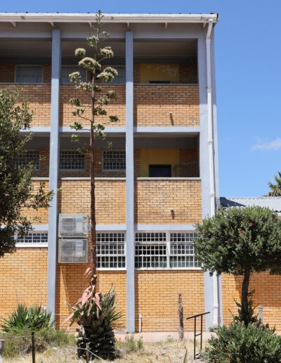 steenberg8