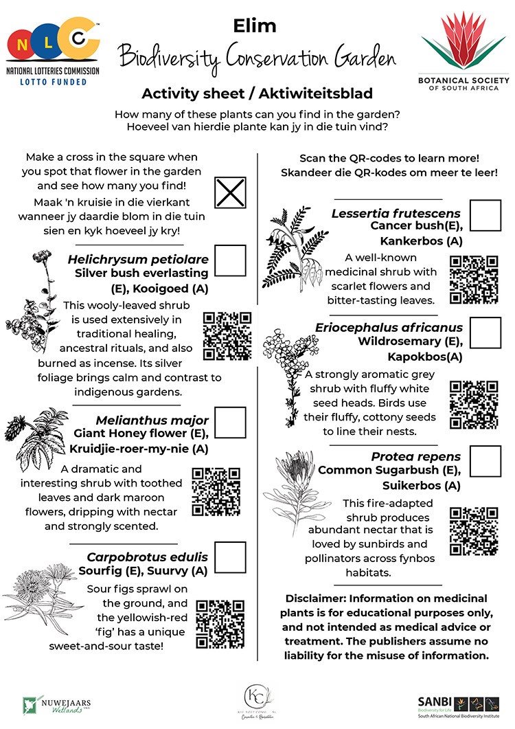 Elim-Activity-Sheet-1 Elim Activity Sheet 1