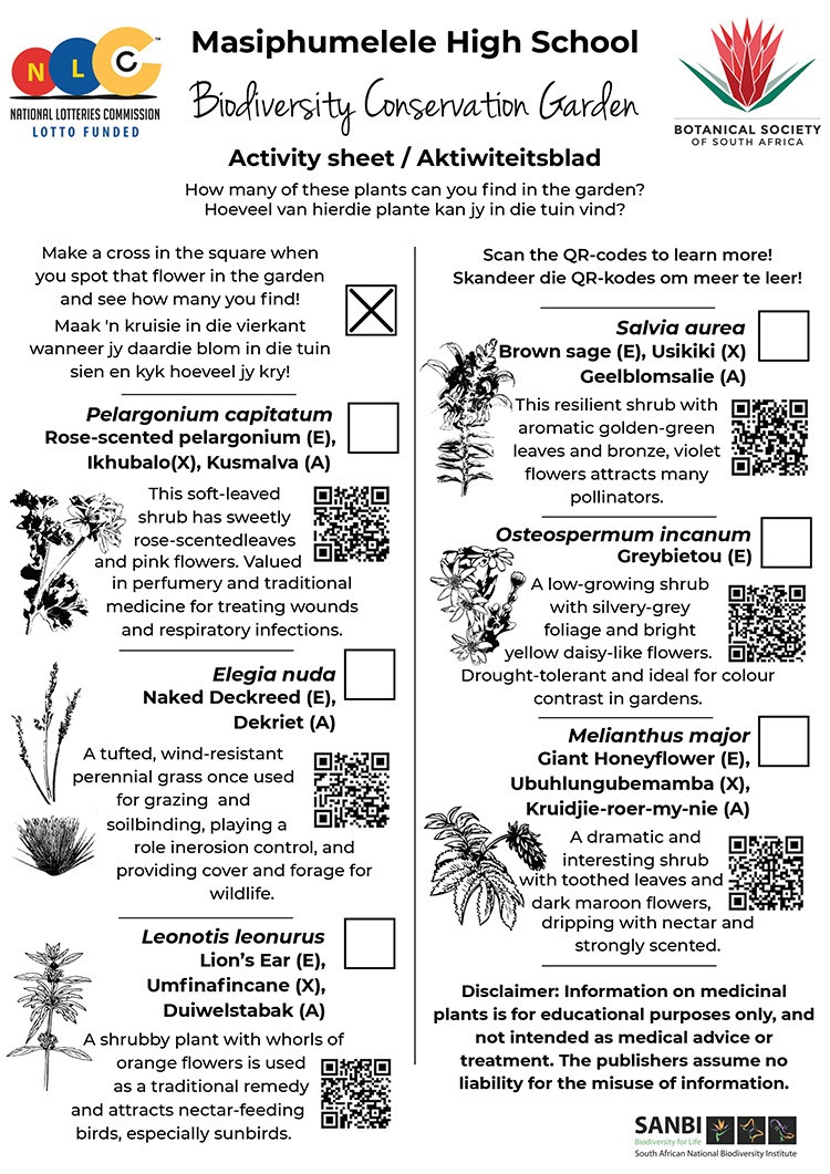Masi-Activity-Sheet Masi Activity Sheet