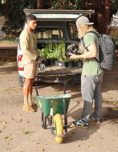 Masiphumelele High School Biodiversity Conservation Garden 2