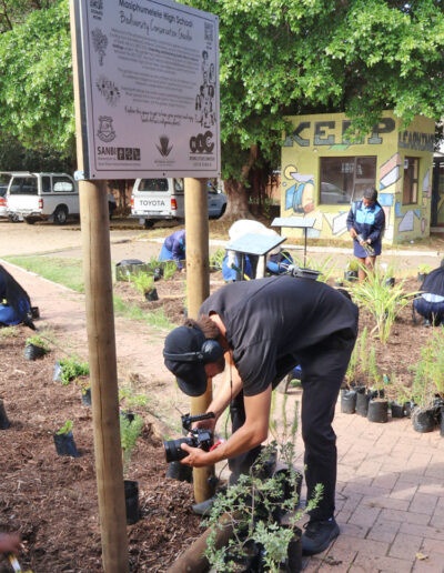 Masiphumelele High School Biodiversity Conservation Garden 7