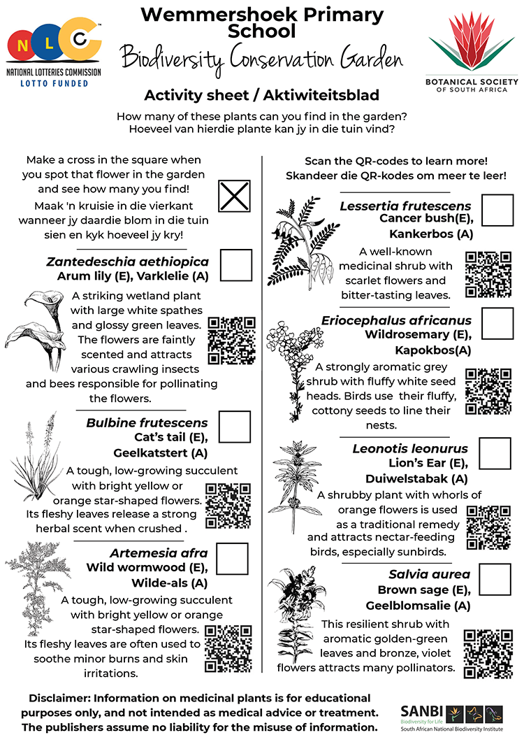 Wemmershoek-Activity-Sheet Wemmershoek Activity Sheet