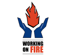 logo-working logo working